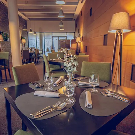Wellness Vista 4*