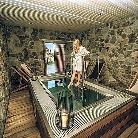 Wellness Vista