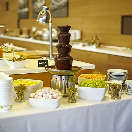 Wellness Vista 4*