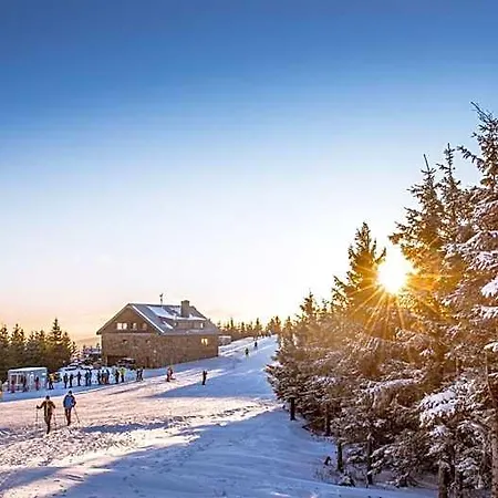 Wellness Vista מלון Dolní Morava