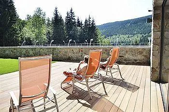 Wellness Vista