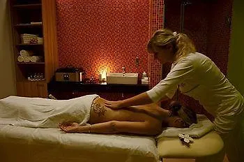 Otel Wellness Vista 4*
