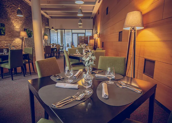 Wellness Vista 4*