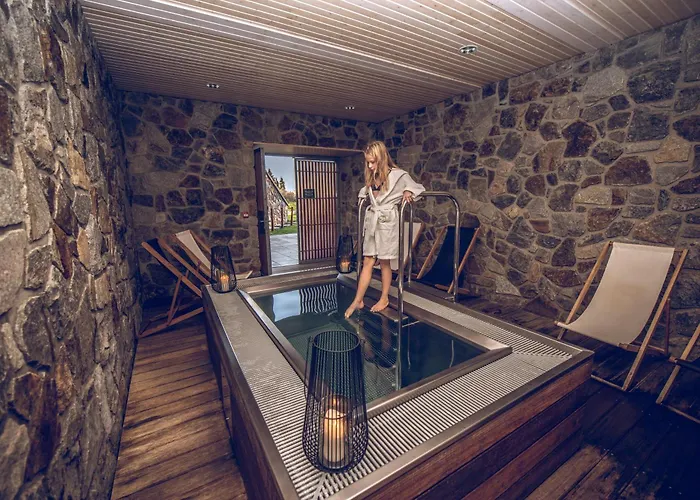 Wellness Vista 4* Dolní Morava