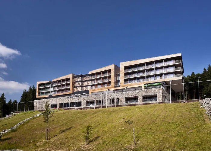 Wellness Vista